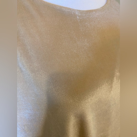 DG2 By Diane Gilman Velvet Blouse Size XL - Picture 2 of 7